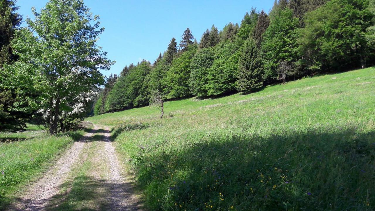 Ferienhaus Moosbachtal Thueringer Wald Bei Oberhof Rotterode ภายนอก รูปภาพ